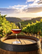 A glass of 10-year-old tawny wine placed on a barrel in a vineyard restaurant, vineyard landscape
