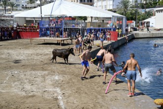 Bous a la Mar Fair, in English Bulls in the Sea, Bullfighting, Javea or Xàbia, Alicante Province,