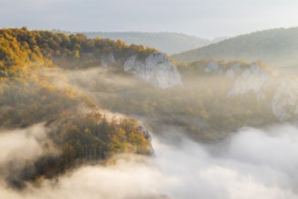 View from the Knopfmacherfels into the Danube valley, limestone rock, rock face, mixed forest,