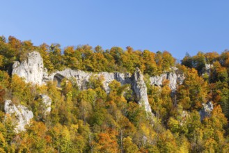 Rock face with mixed forest in autumn colours, limestone rock, autumn, Schaufelsen Donautal,
