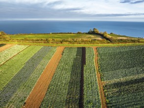 Fields and Farms at evening sun from a drone, Shaldon, Torquay, Devon, England, United Kingdom