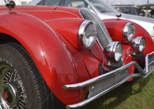 The very rare luxury sports car, vintage car, sports car, SCEPTRE 6.6S, at a classic car meeting in