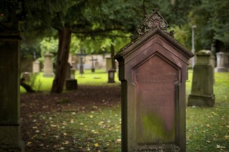 Gravestones, grave, graves, Hoppenlauf cemetery, oldest preserved cemetery in Stuttgart, autumn