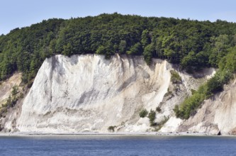 Chalk coast at Jasmund National Park on Rügen, Mecklenburg-Western Pomerania, Germany