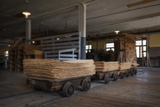 Wagon on rails for transporting cardboard, former paper factory and mill for the production of