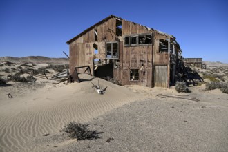 Schädel einer Oryx-Altilope (Oryx gazella) vor einer Ruine der ehemaligen Diamantenstadt Pomona,