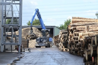 Wood storage and mechanical log transport on the premises of Energie-Mann in the Westerwald. Wood