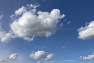 White light-coloured cumulus clouds Cumulus clouds Dense water clouds under a blue sky,