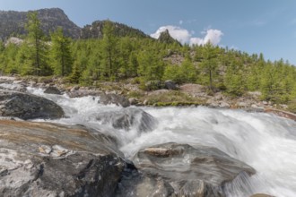 A rushing river cascades over smooth stones, surrounded by lush green trees and majestic mountains.