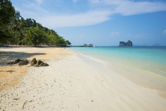 White sandy beach and coconut palms, Sunrise Beach, Koh Great white shark, Ko Ngai, Krabi Province,