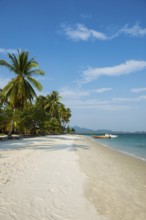 White sandy beach and coconut palms, Pearl Beach, Koh Mook, Trang Province, Southern Thailand,