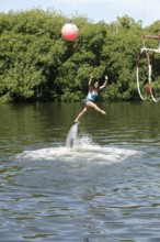Dolphin, Bottlenose dolphin (Tursiops truncatus), performing tricks, Cuba, Caribbean, Central