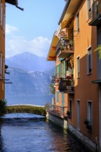 Aril, the shortest river in the world, Cassone di Malcesine, Lake Garda, Veneto, Italy