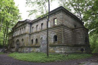 Ruin, castle ruin of Dwasieden Castle on Rügen, Mecklenburg-Western Pomerania, Germany