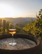 Glass of 10-year-old tawny wine placed on a barrel in a vineyard restaurant, AI generated