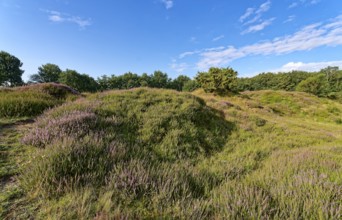 Ripple-crowned dune area in the Schleswig-Holstein municipality of Jörl. The nature reserve Düne am