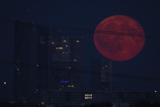 The full moon passes over the Frankfurt banking skyline, Frankfurt am Main, Hesse, Germany