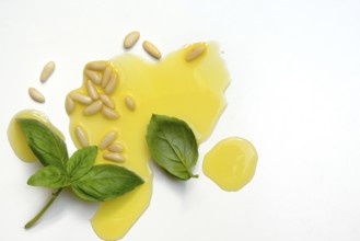 Ingredients for basil pesto, pesto alla genovese