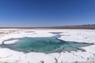 Coloured salt formations at the Lagunas Escondidas de Baltinache, Atacama Desert, Toconao, San