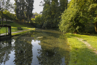Lauter spring, Große Lauter, karst spring, body of water, park, idyll, meadow, lawn, trees,