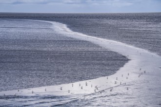 Wadden Sea between the Dutch coast near Eemshaven and the German North Sea island of Borkum, Wadden