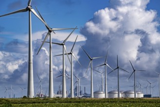 Wind farms Westereems and Growind, in the north of the Netherlands, near Eemshaven, energy centre,