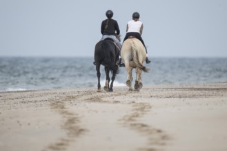 Two riders on the beach, near Hvide Sande, North Sea, Denmark