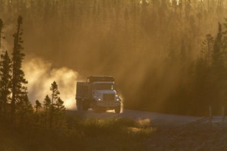 Transport truck driving on a dusty forest track, Province of Quebec, Canada, North America