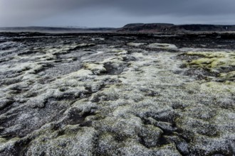 Stones and Moss along the Ring Road, Mountains, Frost, Winter, Cold, Cloudy, Iceland* Stones and