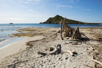 Wild beach, Sentier du littoral, Plage Ranc, Cap Taillat, Saint Tropez, Var, French Riviera,