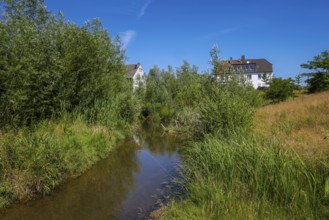 Recklinghausen, North Rhine-Westphalia, Germany - Renaturalised Hellbach, renaturalised