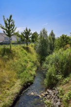 Recklinghausen, North Rhine-Westphalia, Germany - Renaturalised Hellbach, renaturalised