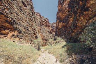 Bungle Bungles in Australia in the Outback, Australia