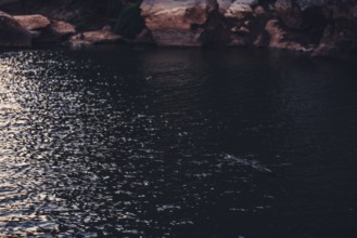 Special light atmosphere in the outback at Windjana Gorge National Park in Australia
