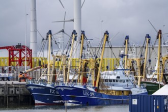 Fishing boats in Beatrixhaven, the seaport of Eemshaven, industrial harbour, at the quay,