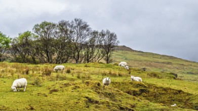 Farms over Loch Slapin, Isle of Skye, Scotland, UK
