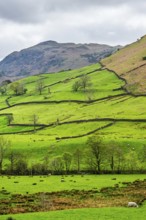 Farms in Lake District National Park, Cumbria, England, United Kingdom