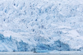 Glacier tongue, sea, Smeerenburgbreen, Spitsbergen, Svalbard