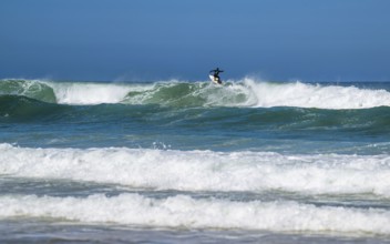 Surfer riding a wave on Contis beach, Saint Julien en Born, Saint-Julien-en-Born, Landes, France