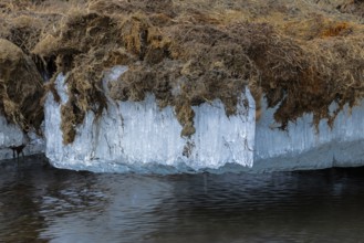 Permafrost, ice below the surface, Aventdalen, Longyearbyen, Spitsbergen, Svalbard