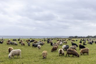 Sunset by the sea, waves, North Sea, Rantum, Sylt, Schleswig-Holstein