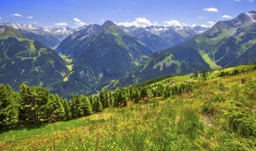 Mountain landscape in the Penken hiking area, Mayrhofen, Zillertal, Zillertal Alps, Tyrol, Austria