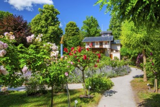 Rosarium with blooming roses in front of the Pompeian-Bavarian Casino on the Rose Island in Lake
