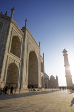 Taj Mahal or Taj Mahal in the morning light, mausoleum, Agra, Uttar Pradesh, India