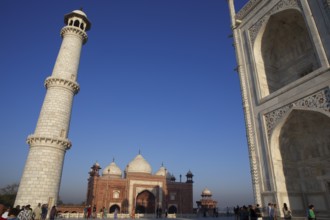 Taj Mahal or Taj Mahal in the morning light, mausoleum, Agra, Uttar Pradesh, India