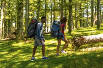 Two hikers are walking through a sunny forest wearing backpacks and enjoying their hike in nature