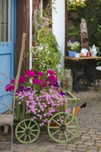 Kässtadel, KäStadel, on the lake, cheese shop with bistro, cheese shop, delicatessen, café,