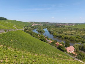 Mainschleife in summer, charburner near Volkach, behind Escherndorf, aerial view, Lower Franconia,
