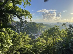 Cebu City on the island of the same name, Cebu. Residential building, Cebu, Philippines