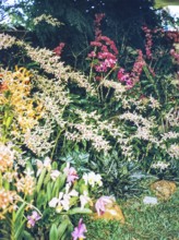 People attending flower show at the Singapore Turf Club, The 4th World Orchid Conference,